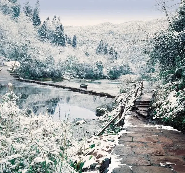 气温骤降，雪花飘落，天台山都被染白了！