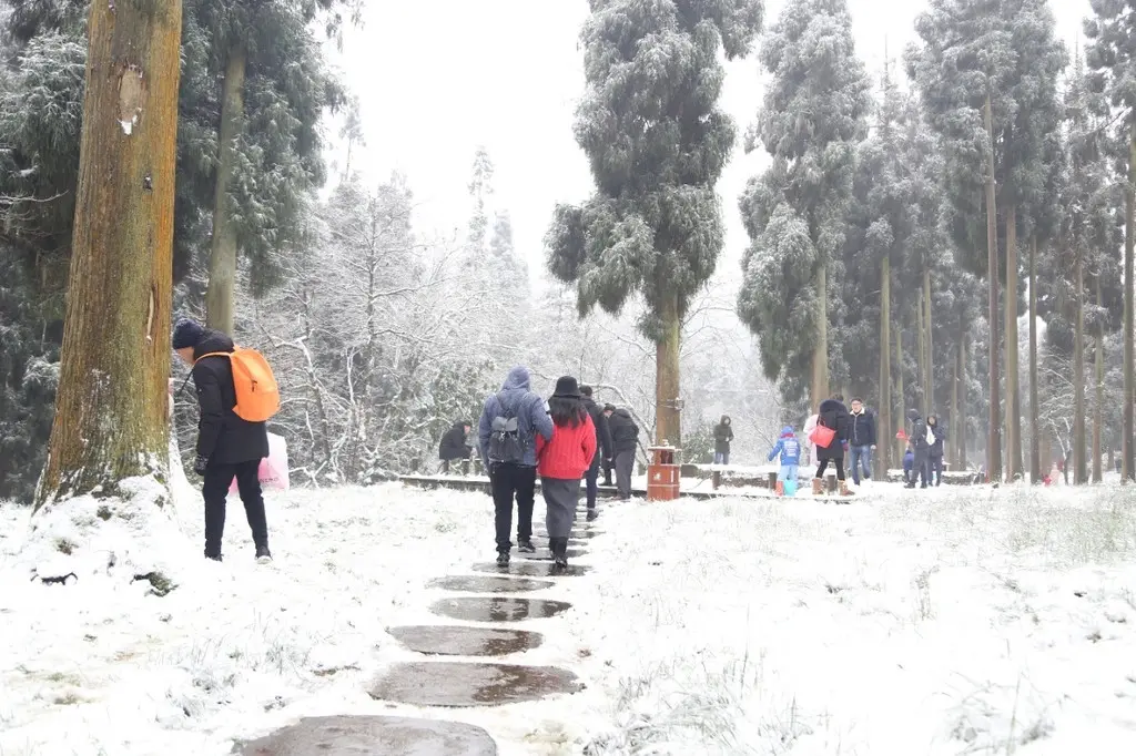 气温骤降，雪花飘落，天台山都被染白了！