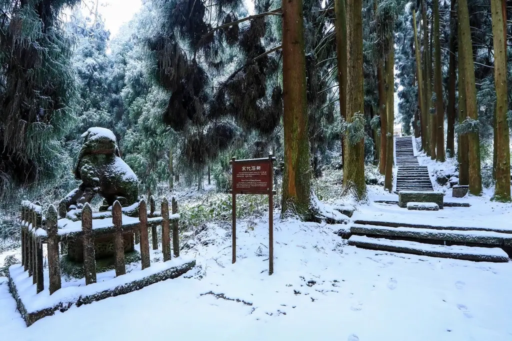 气温骤降，雪花飘落，天台山都被染白了！