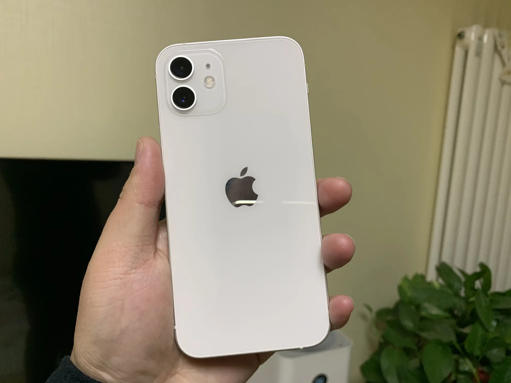 限量80台的LV版iPhone 12 Pro，上手瞬间：这简直是艺术品