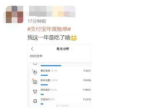 支付宝年度账单出炉，网友遭“暴击”：我的钱像被大风刮走的