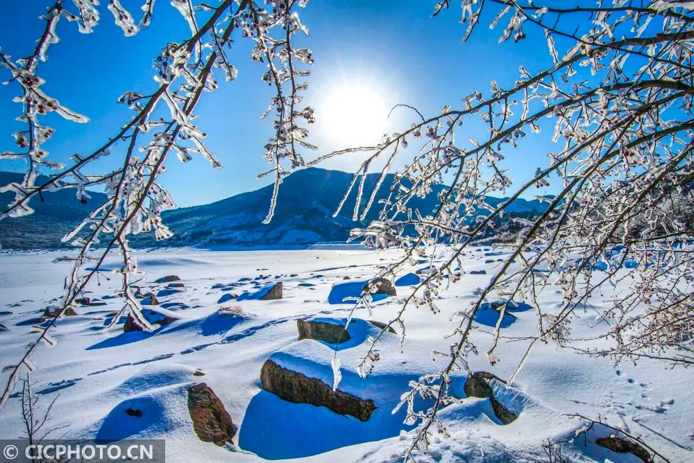 四季之歌｜东风吹雪小寒来