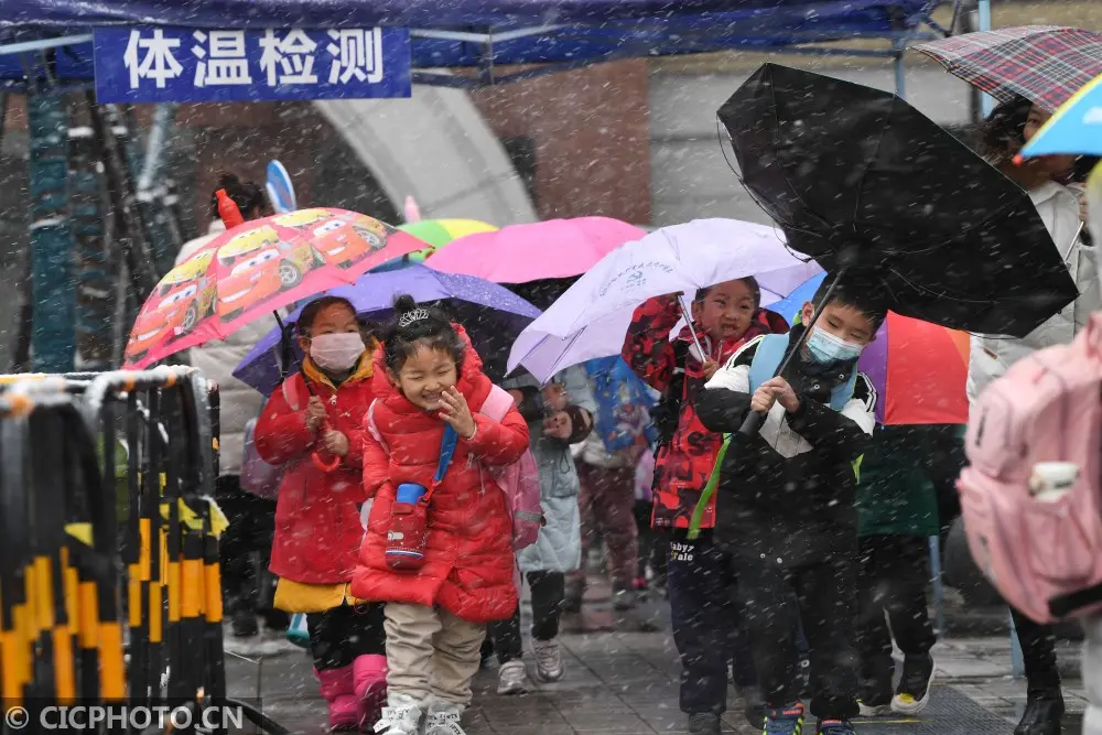 四季之歌｜东风吹雪小寒来