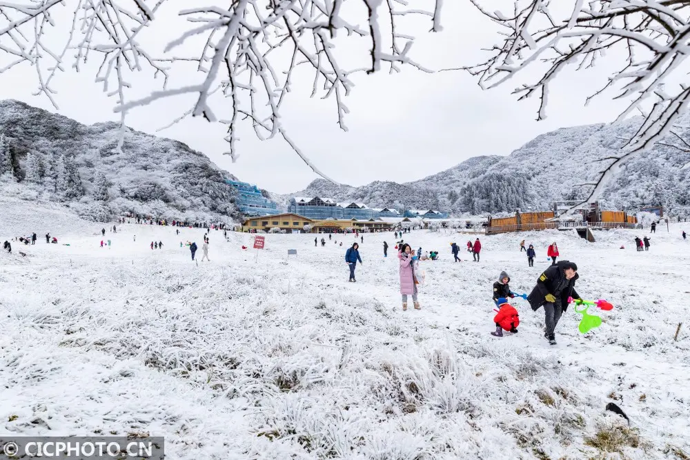 四季之歌｜东风吹雪小寒来