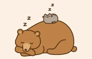 人类为什么不冬眠？