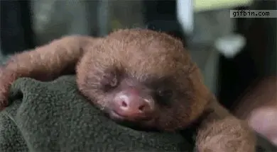 人类为什么不冬眠？