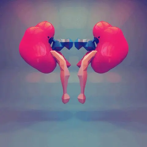 人类为什么不冬眠？