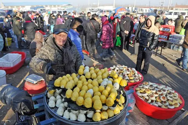 零下30度的东北，活鱼要煮，饺子冻地上，这种乐趣南方体会不到