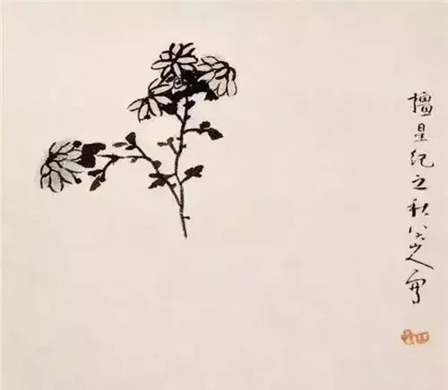 细品大师画菊 妙韵无穷