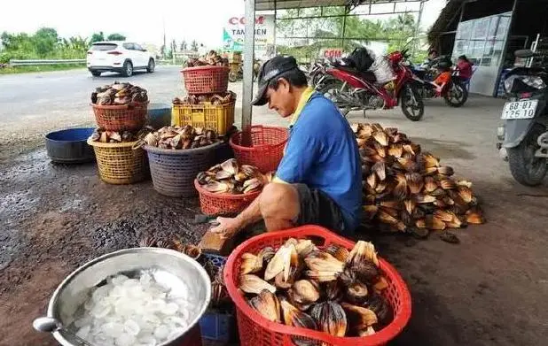 越南人不吃的食物，成了中国游客争抢的美食：中国人的钱真好赚