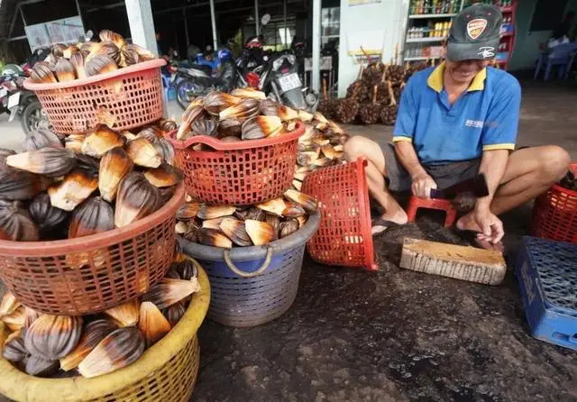 越南人不吃的食物，成了中国游客争抢的美食：中国人的钱真好赚