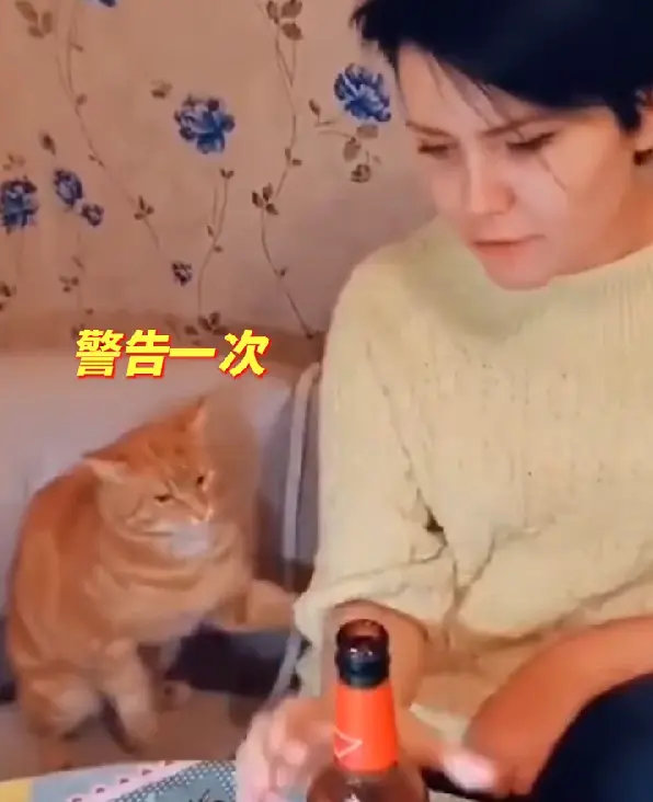 操碎了心！橘猫阻止主人喝酒，不仅动作快还下狠嘴