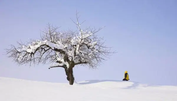 法国：大雪之后