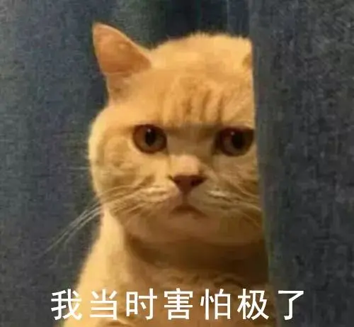 花了20w装修新房，结果被爸妈装成了“主墓室”？