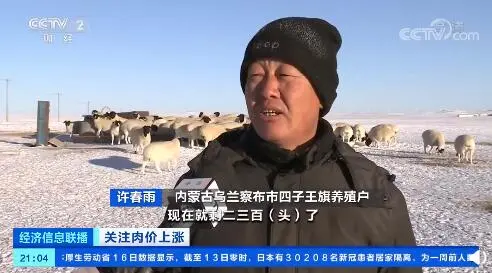 临近春节，肉价“涨”声一片！羊肉批发价连涨7周，牛羊肉价格每公斤超74元