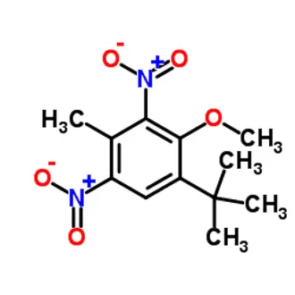 做环境毒理学挺焦虑的：做不出毒性，愁论文，做出毒性，又替地球担心｜王雯