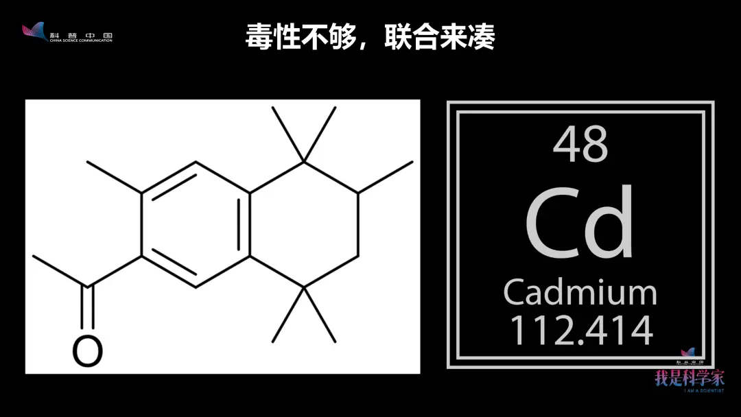 做环境毒理学挺焦虑的：做不出毒性，愁论文，做出毒性，又替地球担心｜王雯