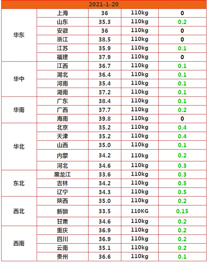 20日猪价大厦将倾，行情鹤唳，猪价下跌潮提前？春节吃到便宜肉？