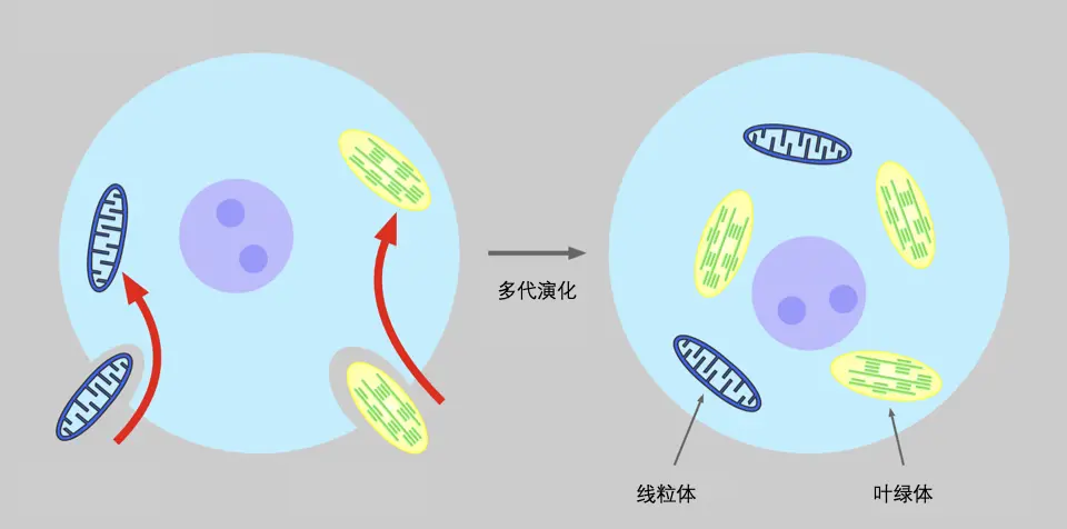 生命起源百年探索：进化论、信息论、热力学谁是主角？