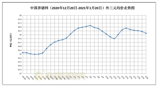 01月20日猪评：跌势蔓延！29省下跌，猪价仅涨0.03元/公斤？