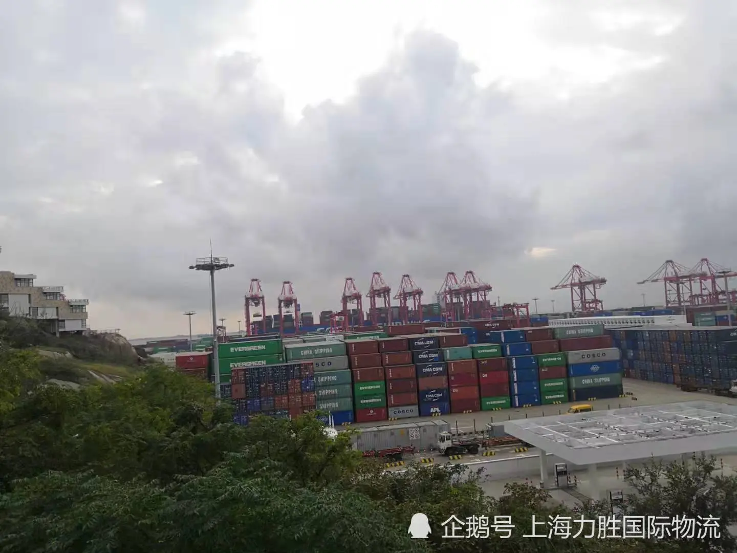 5类危险品海运订舱上海危险品货代