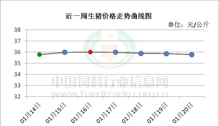 就地过年会否改变人口流动对猪价的影响？——1月20日猪价快报