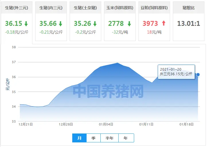 全国29个地区猪价下跌！未来猪价是否能回弹？