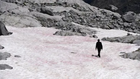 冰是透明的，为什么雪却是白色的？