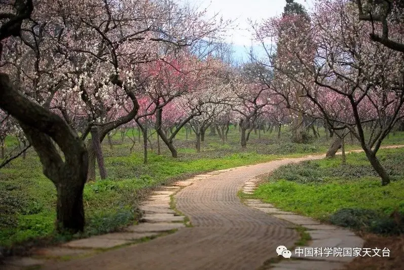 时间有什么独特的性质？