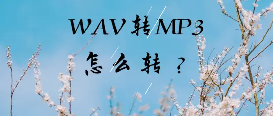 WAV转MP3怎么转？这四款软件超好用！