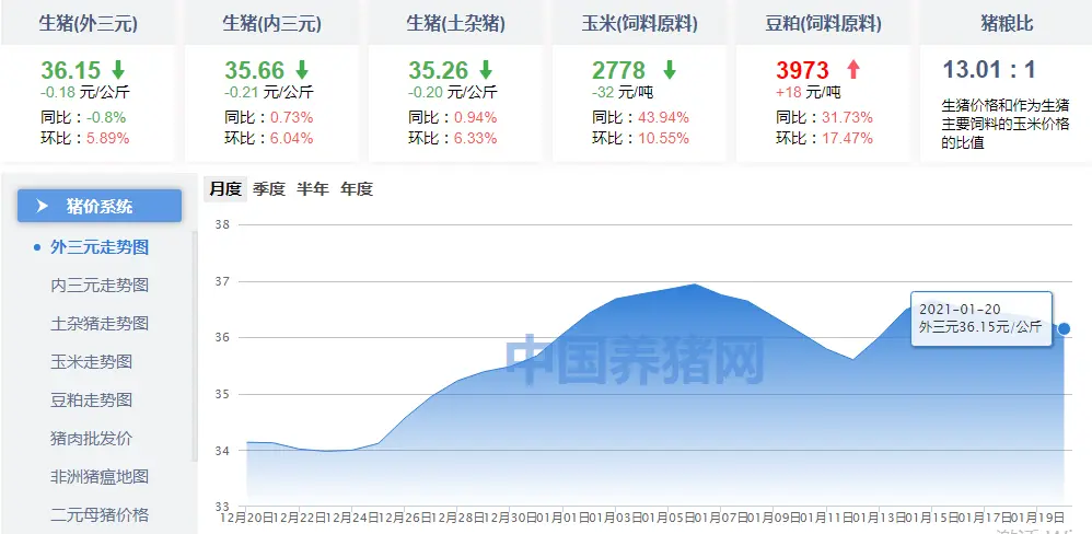 猪价“一片绿”，节前是否“无力回天”？1个坏消息