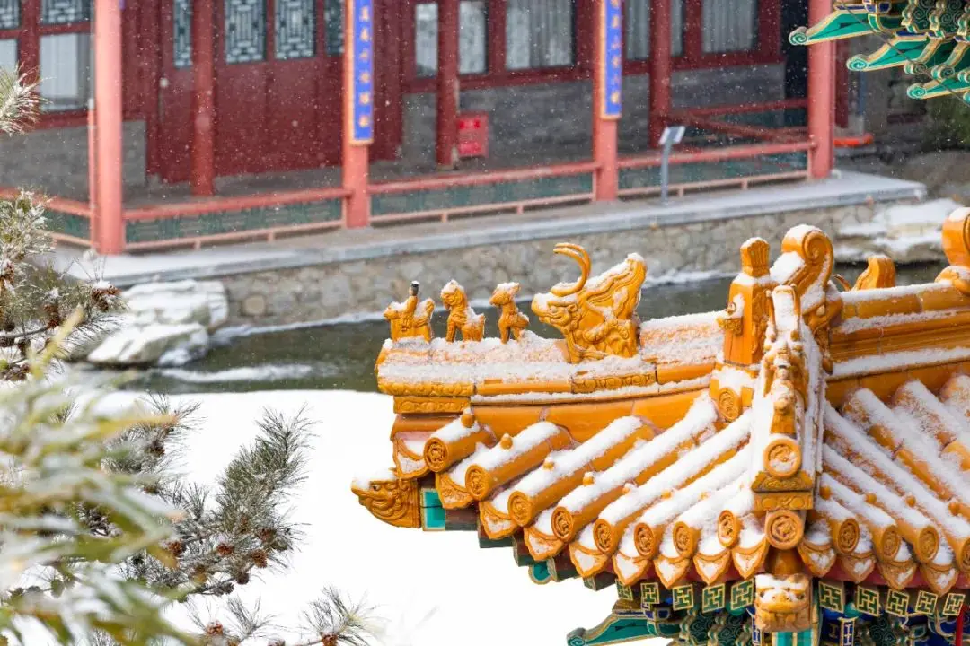 2021年初雪，北京号带您看最美的北京城