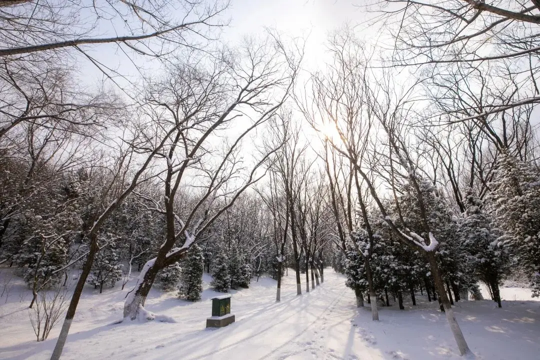 2021年初雪，北京号带您看最美的北京城