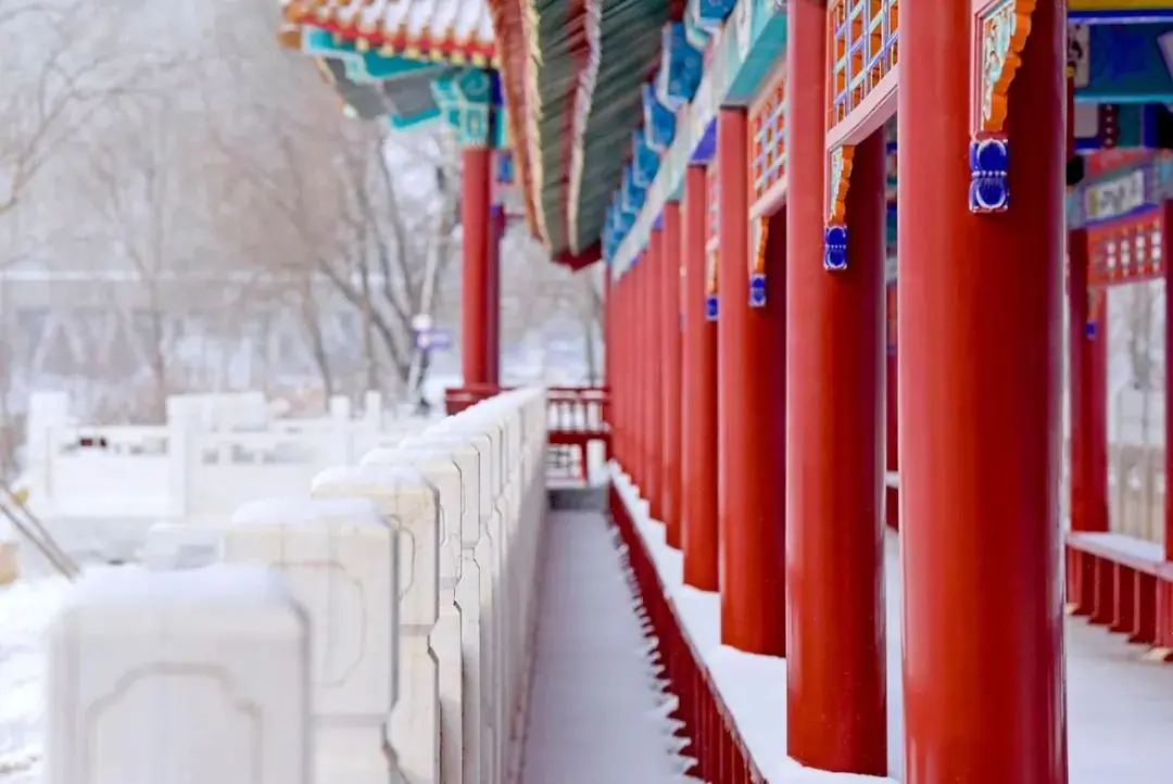 2021年初雪，北京号带您看最美的北京城