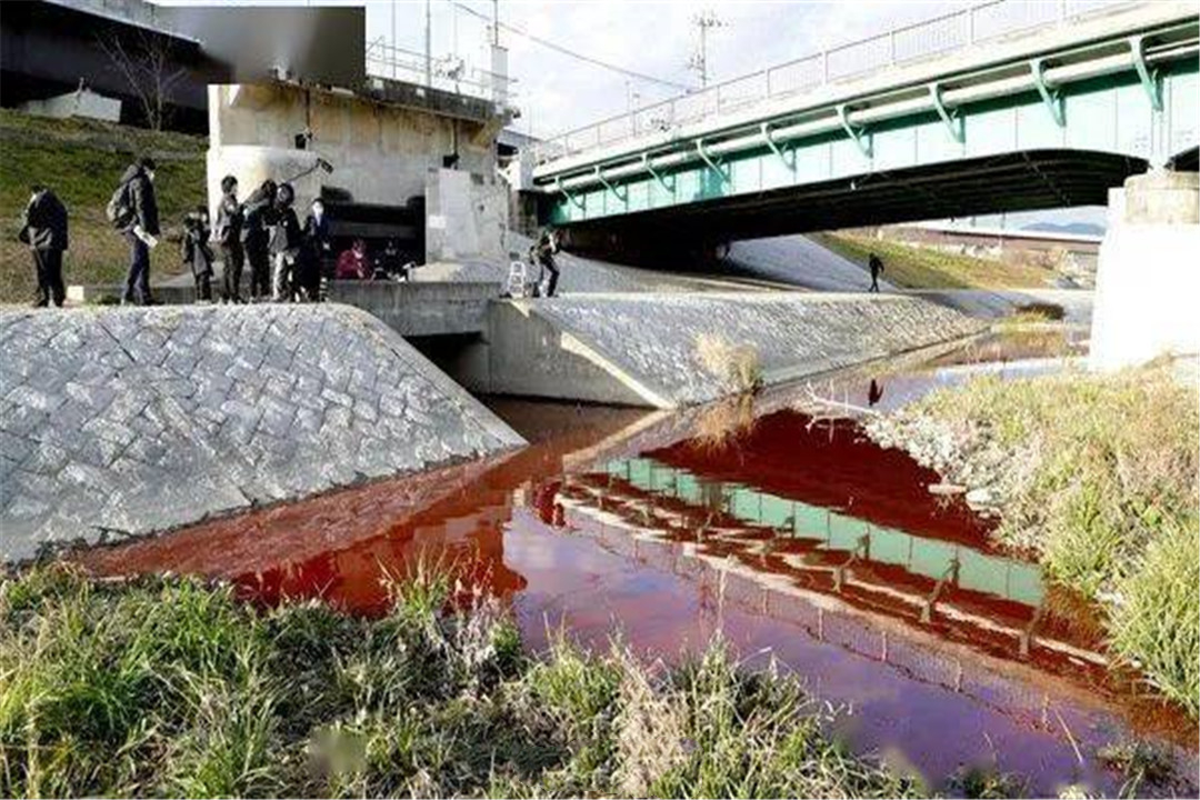 日本京都河出现“血水”，当地部分已开始调查，今年是怎么了？