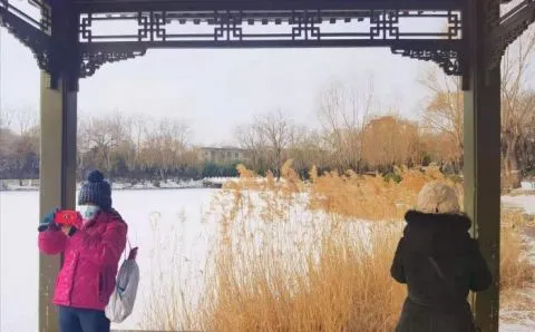 视点｜下雪啦 市民北京柳荫公园赏雪玩乐