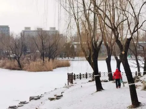 视点｜下雪啦 市民北京柳荫公园赏雪玩乐
