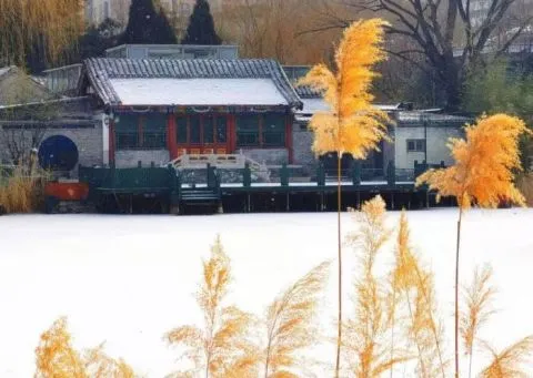 视点｜下雪啦 市民北京柳荫公园赏雪玩乐