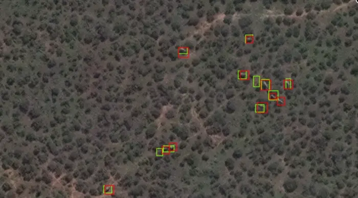 科学家利用卫星图像和深度学习监测非洲大象数量