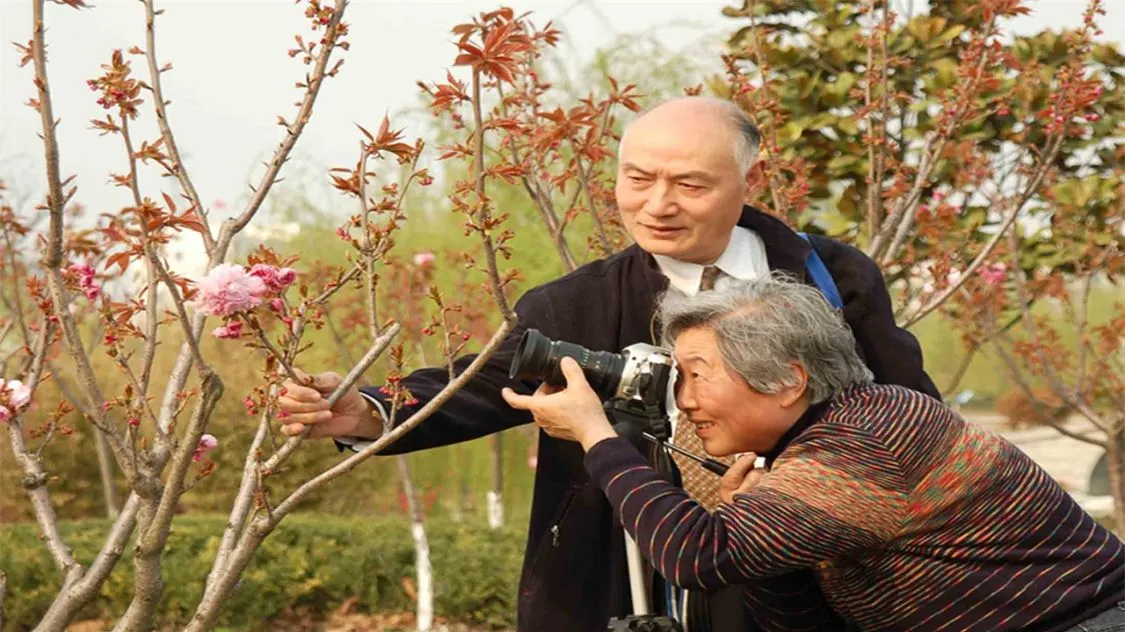 老年人为什么都是跟团游，几乎很少自由行呢？有哪些原因呢？