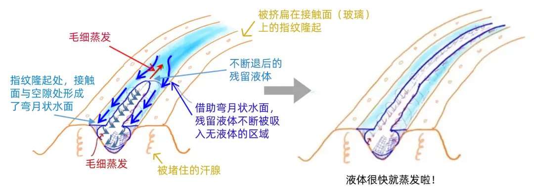 出汗是为了防止手滑？是的，这是真的