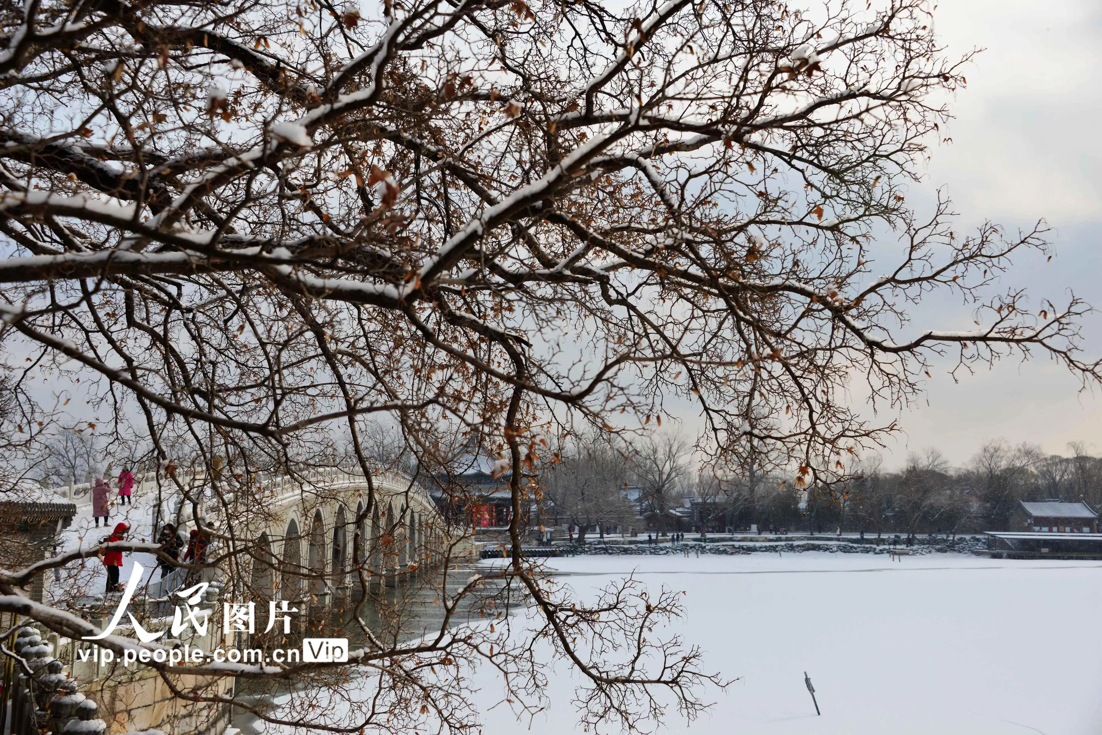 北京迎2021年首场降雪 颐和园宛若童话世界