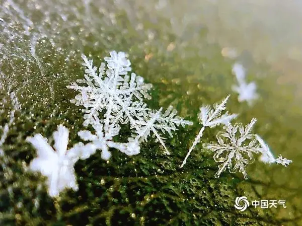 微距看北京雪花 晶莹剔透如艺术品