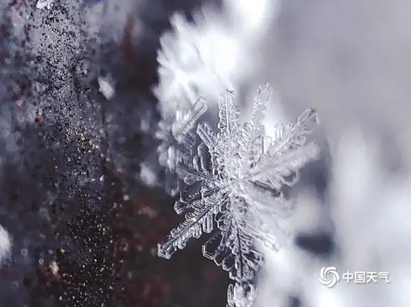 微距看北京雪花 晶莹剔透如艺术品