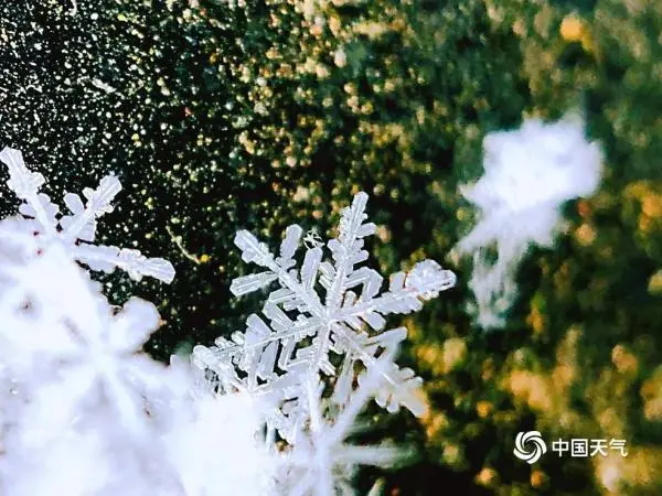 微距看北京雪花 晶莹剔透如艺术品