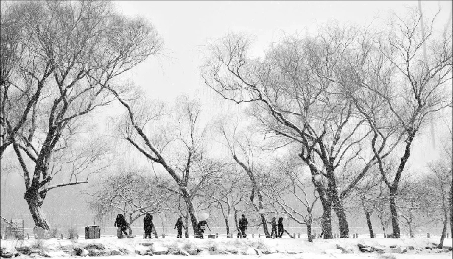 美如铅笔画！黑白片儿拍雪景也能拍出如此唯美意境