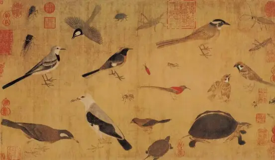 袁思陶：浅谈中国花鸟画蕴含的生命精神