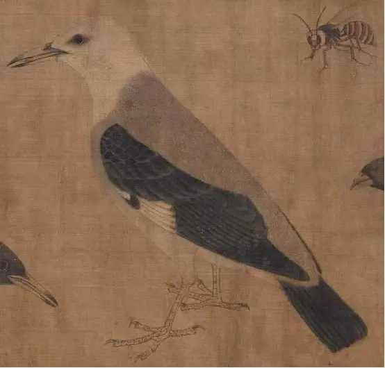 袁思陶：浅谈中国花鸟画蕴含的生命精神