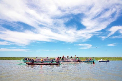 年年捞鱼，为何查干湖的鱼还是越捞越多？当地渔民说出了实情