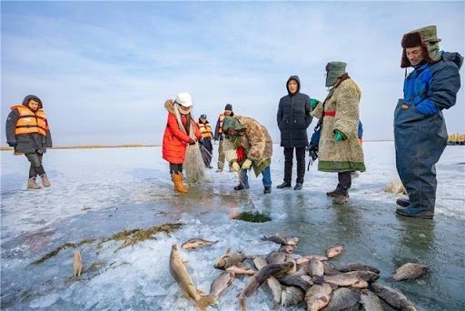 年年捞鱼，为何查干湖的鱼还是越捞越多？当地渔民说出了实情